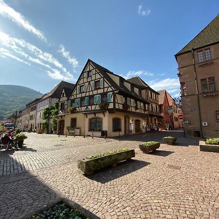Coeur D'Alsace Apartment Kaysersberg-Vignoble ภายนอก รูปภาพ