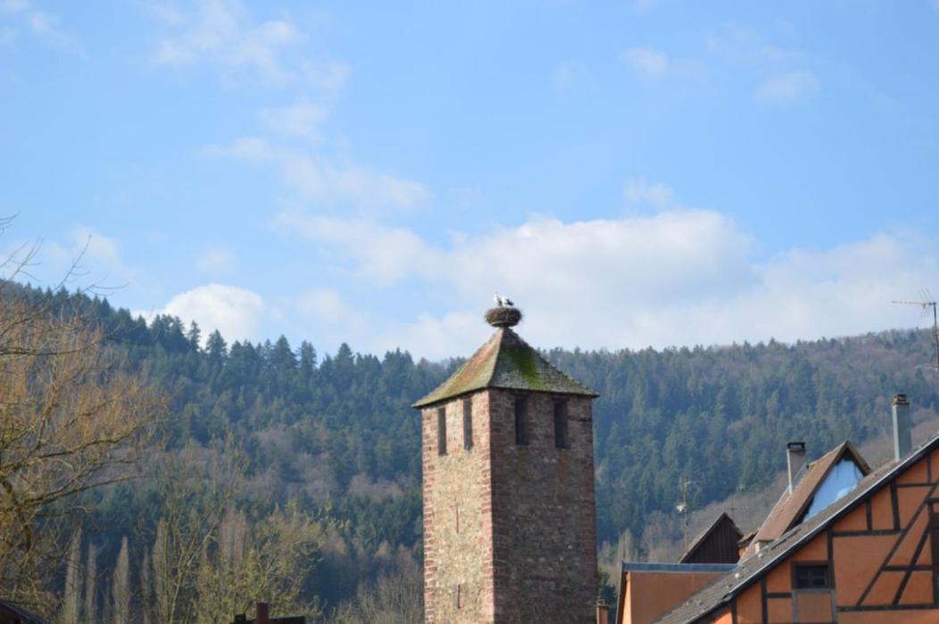 Coeur D'Alsace Apartment Kaysersberg-Vignoble ภายนอก รูปภาพ